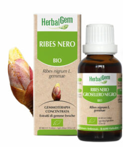 HerbalGem Ribes Nero Bio